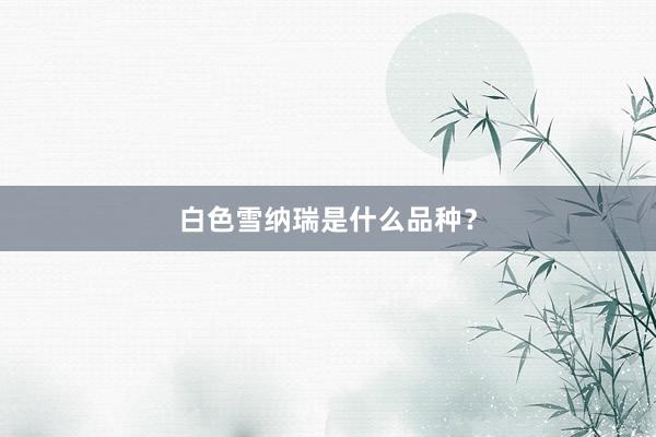 白色雪纳瑞是什么品种？